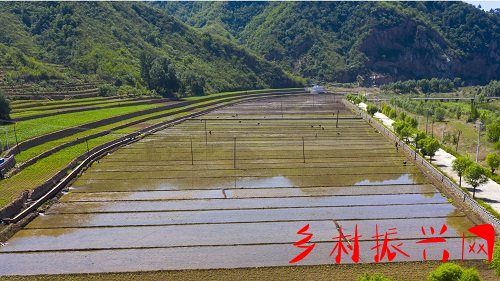 <b>河北宽城绊马河村：初夏好时节 插秧正当时</b>