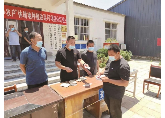 油菜花海看振兴 馆陶柴堡镇前市庄西村“无中生有”促增收