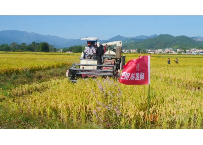 碳氢赋农显成效 核肥助力广东清远丝